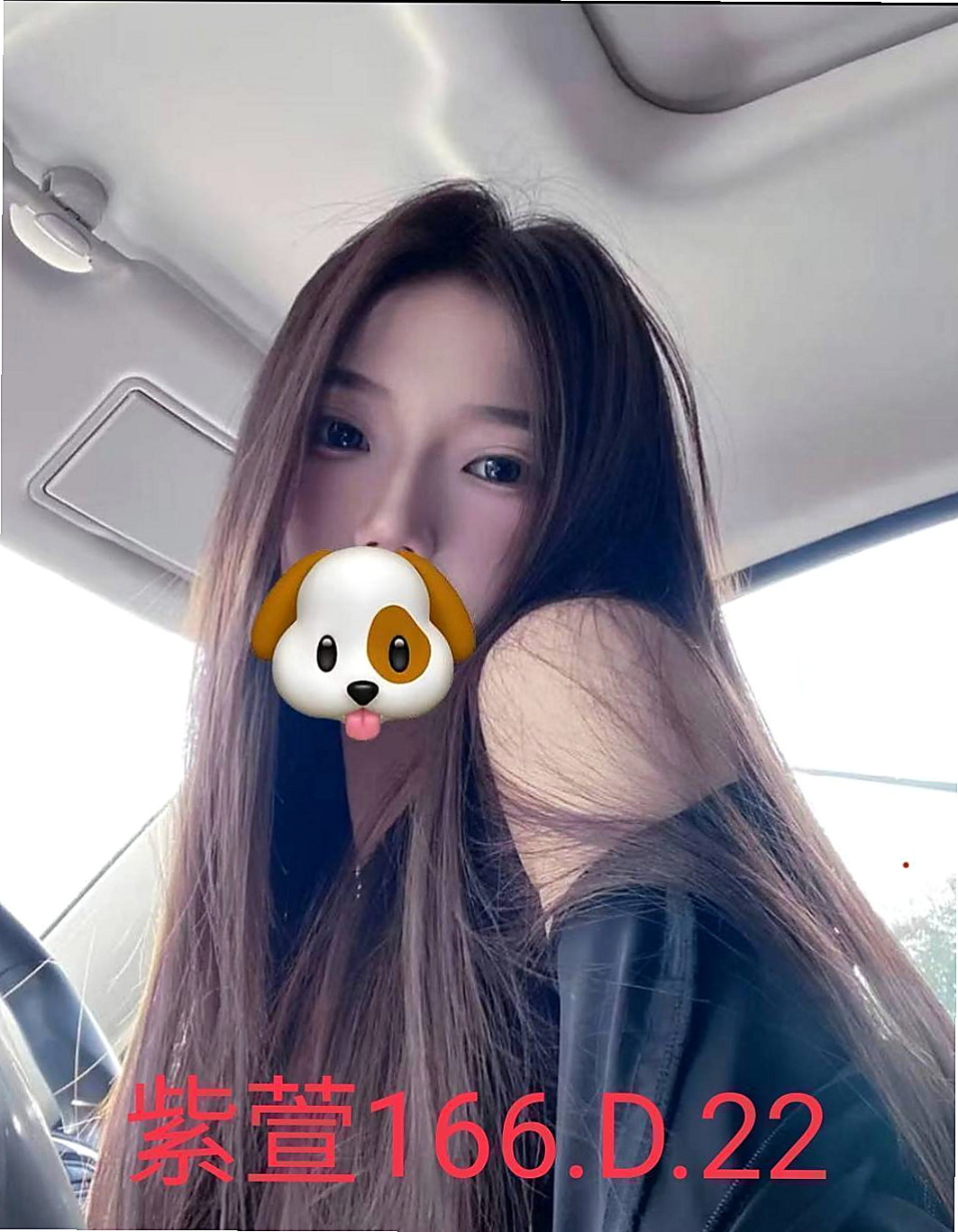 報價單｜台妹｜雲林外送茶